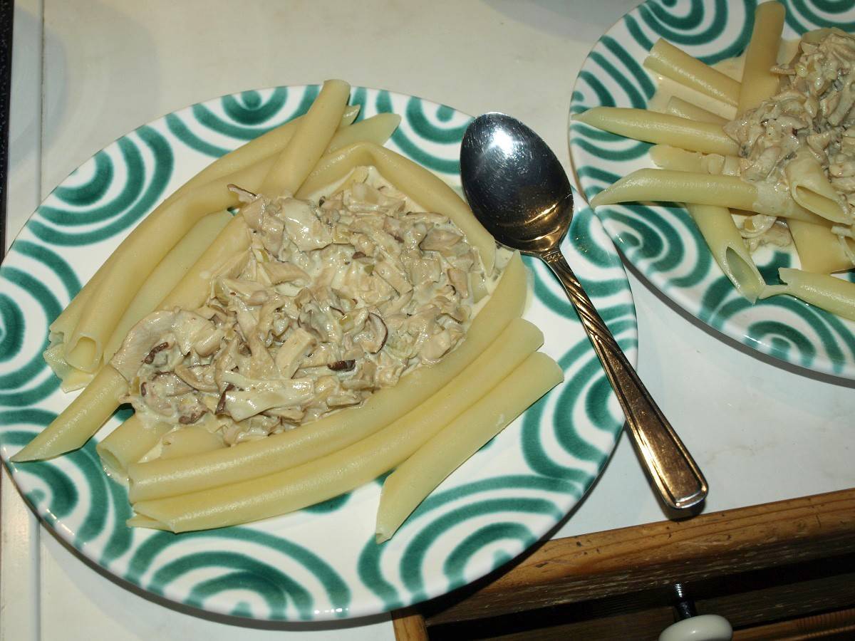 Maccheroni mit Zitronen-Seitlingsauce