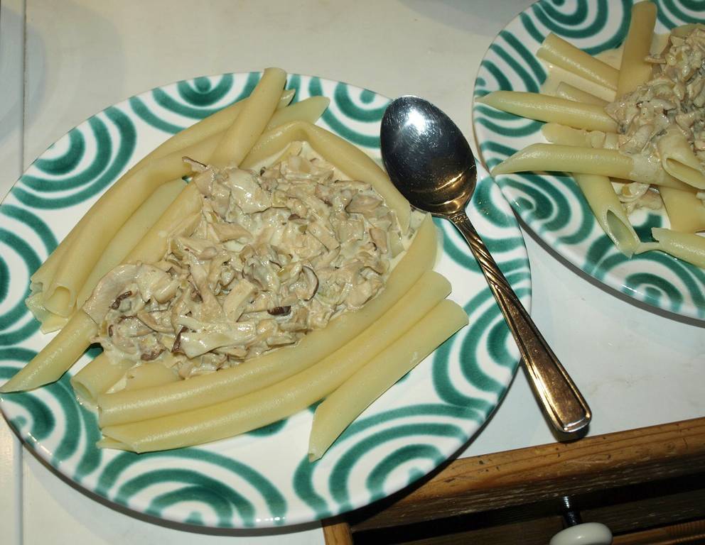 Maccheroni mit Zitronen-Seitlingsauce Maccheroni mit Zitronen-Seitlingsauce