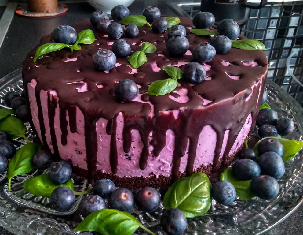 Heidelbeerige Sommerfrische Heidelbeerige Sommerfrische