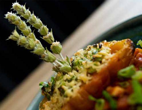 Gegrillte Tomaten mit Parmesan-Kruste Rezept - ichkoche.de Gegrillte Tomaten mit Parmesan-Kruste Rezept - ichkoche.de