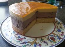Mango-Schokoladenmousse-Torte Mango-Schokoladenmousse-Torte