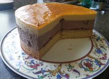 Mango-Schokoladenmousse-Torte