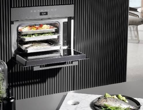 Dampfgarer -  echte Alleskönner