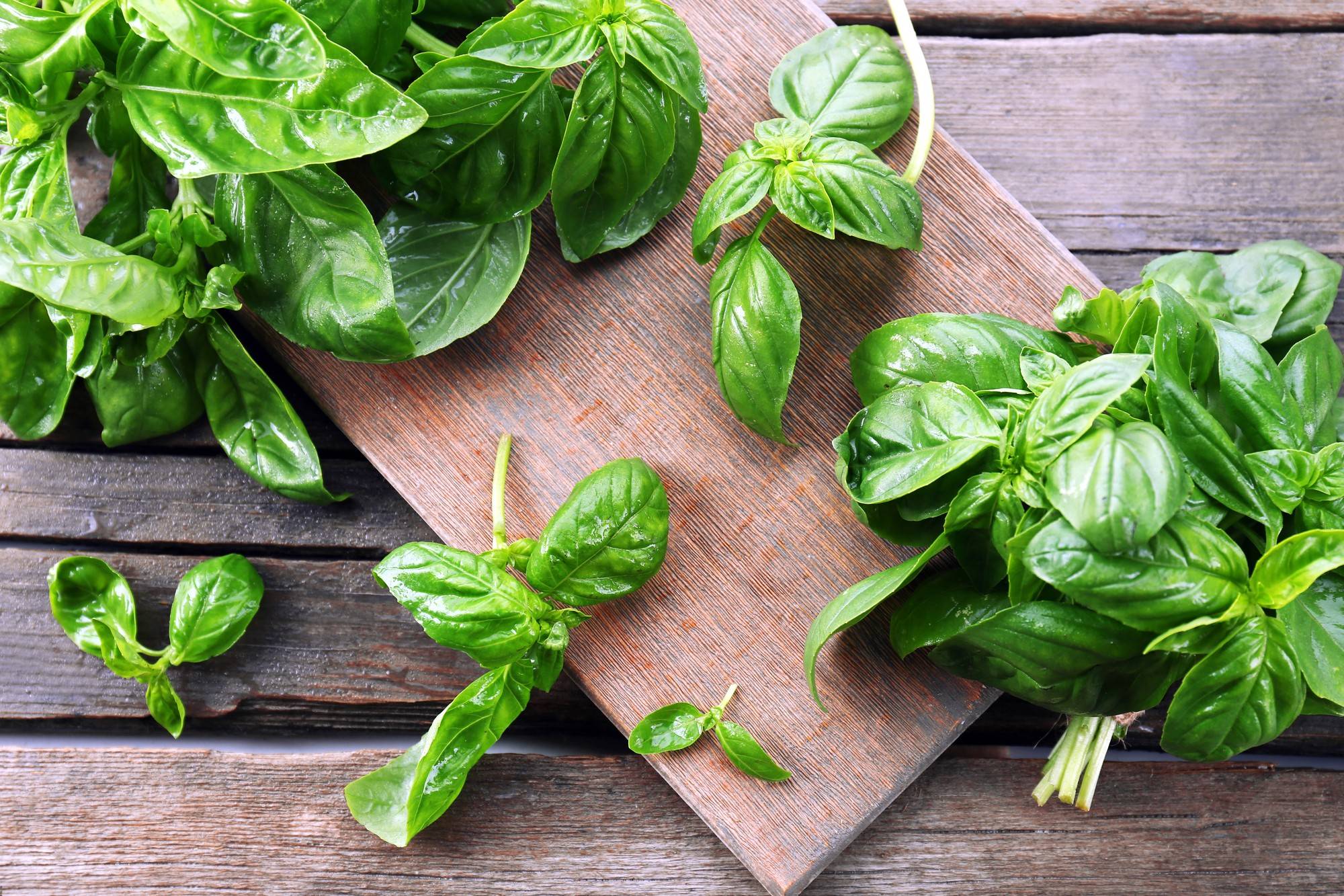 Caprese Rezept - ichkoche.de Caprese Rezept - ichkoche.de