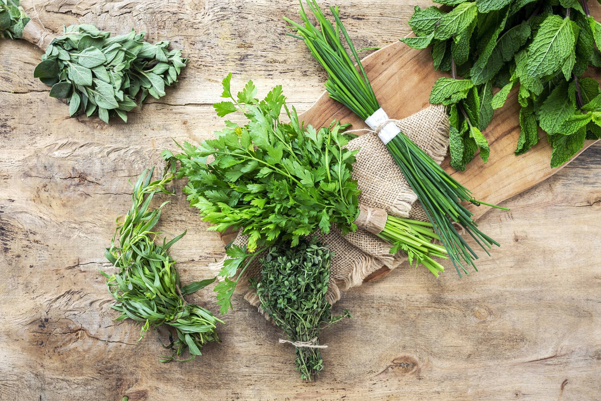 Die besten 
Kräuter & Gewürze Rezepte