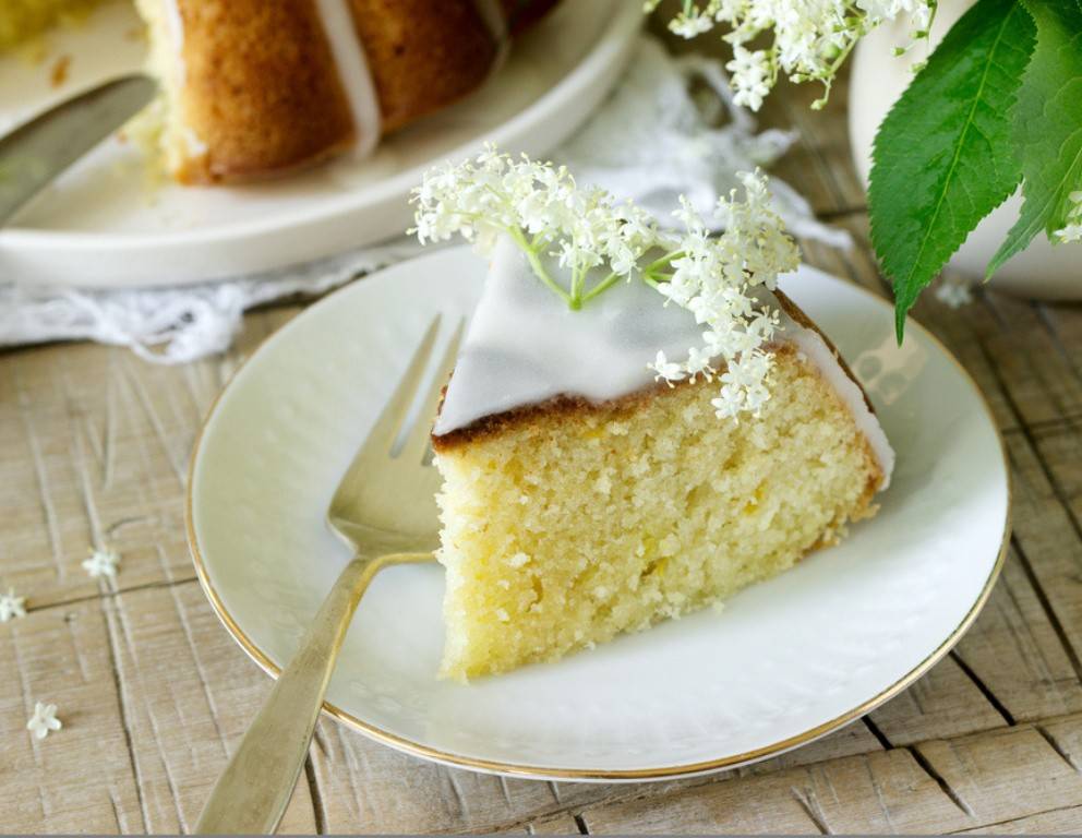 Holunderblüten-Zitronen-Kuchen Holunderblüten-Zitronen-Kuchen