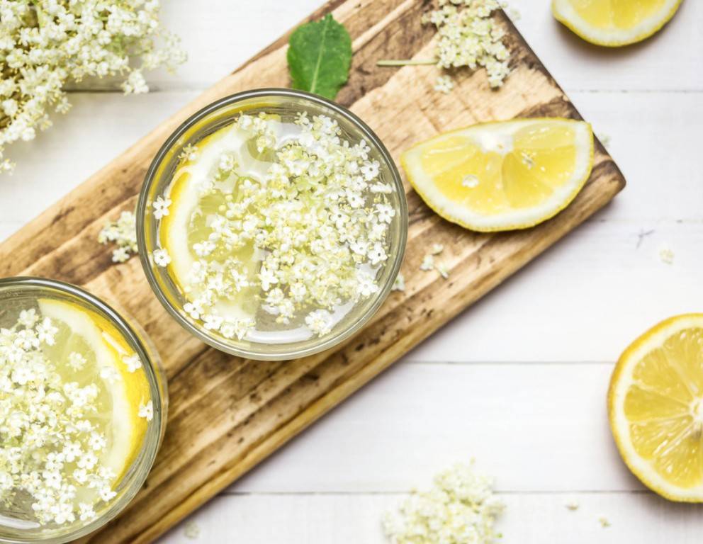 Holunderblüten Rezepte