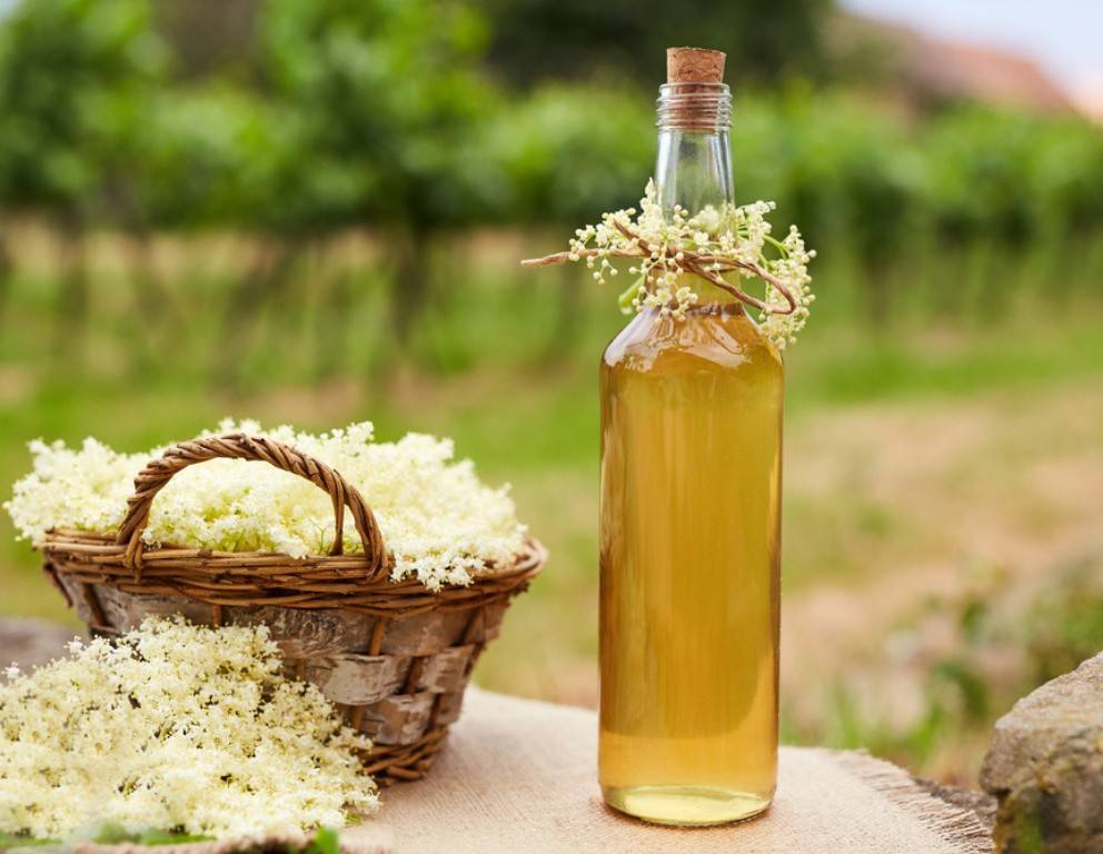 Holunderblütensaft nach Großmutters Art