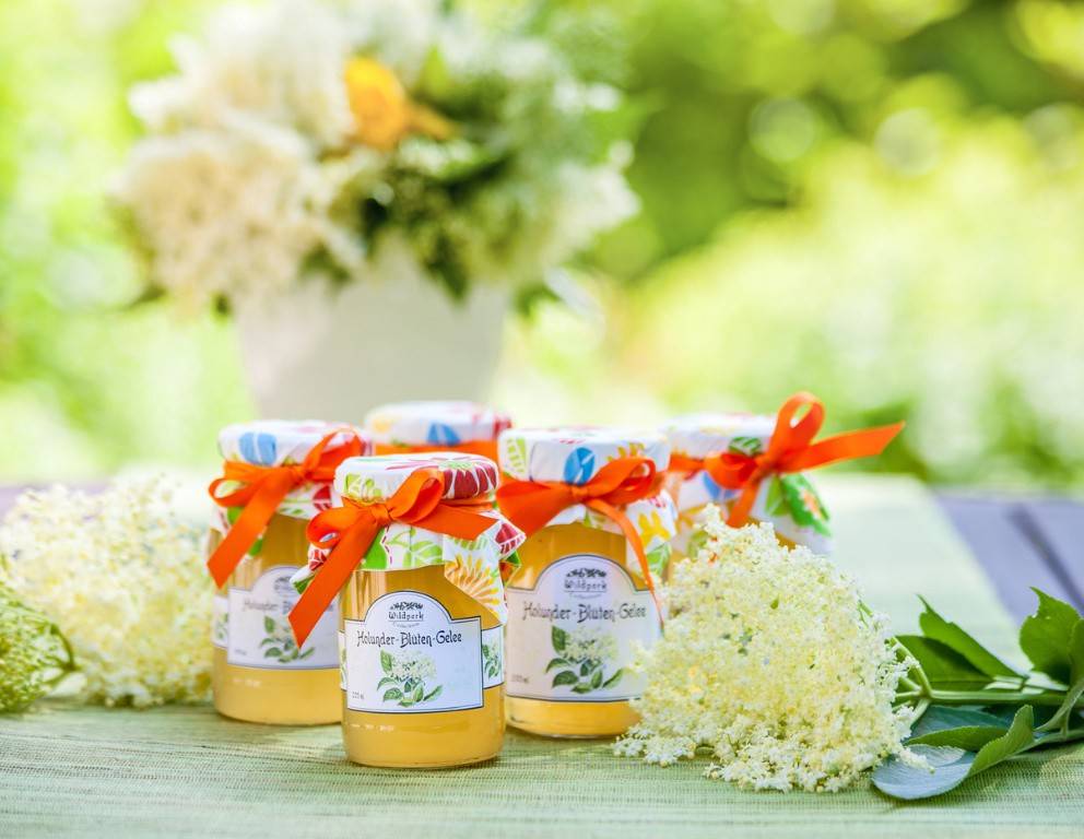 Holunder-Apfelsaft-Gelee
