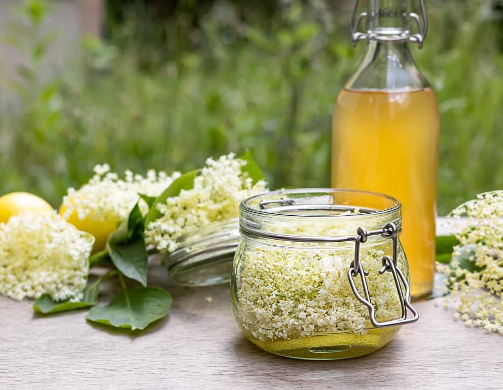 Omas Holunderblütensirup