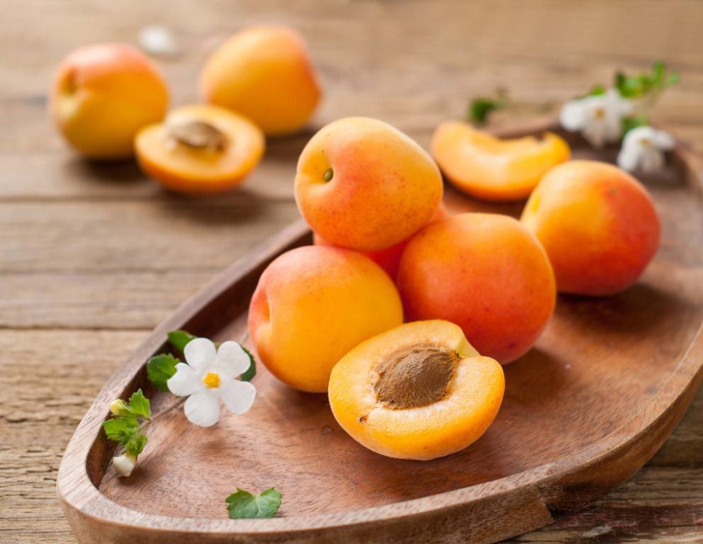 Die besten Marillen Rezepte