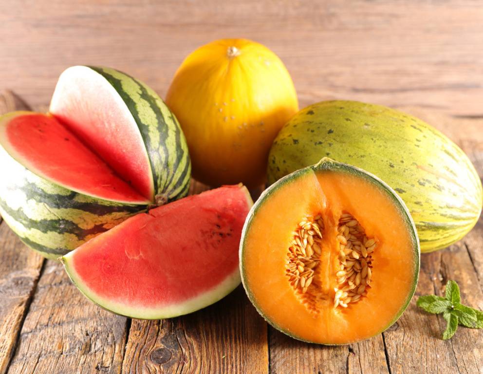 Melonen Rezepte