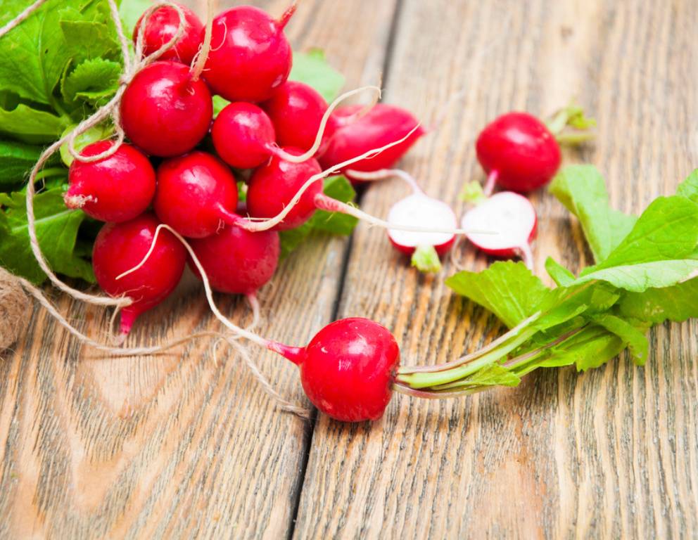 Die besten Radieschen Rezepte