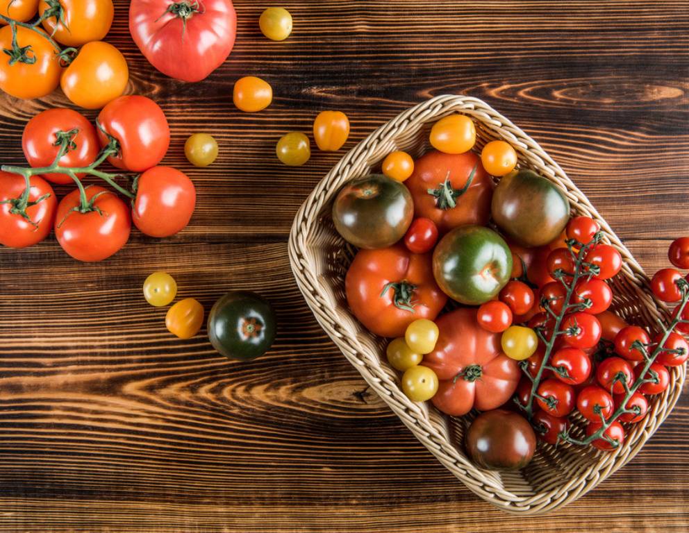 Tomaten Rezepte