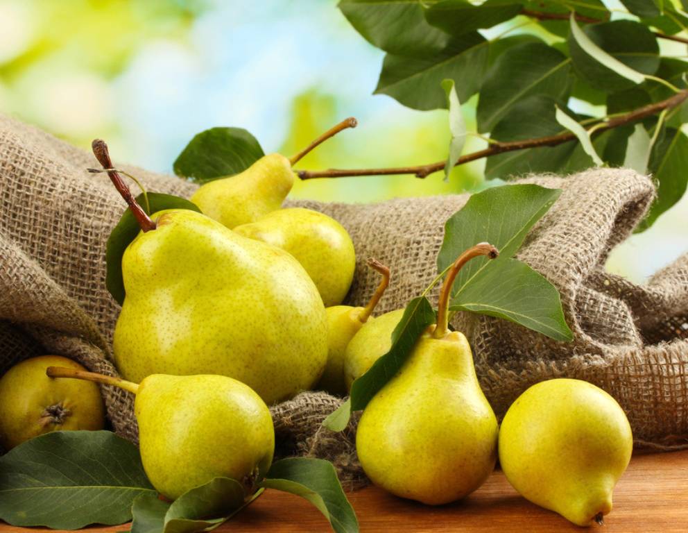 Die besten Birnen Rezepte