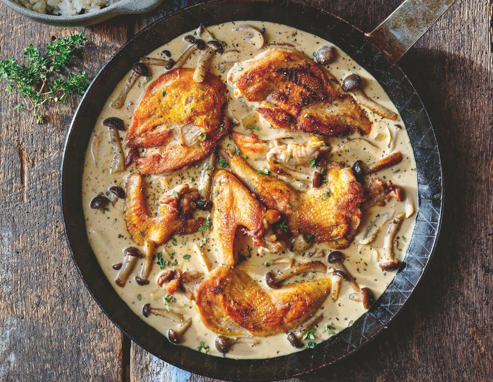 Fasanenragout mit Steinpilzen