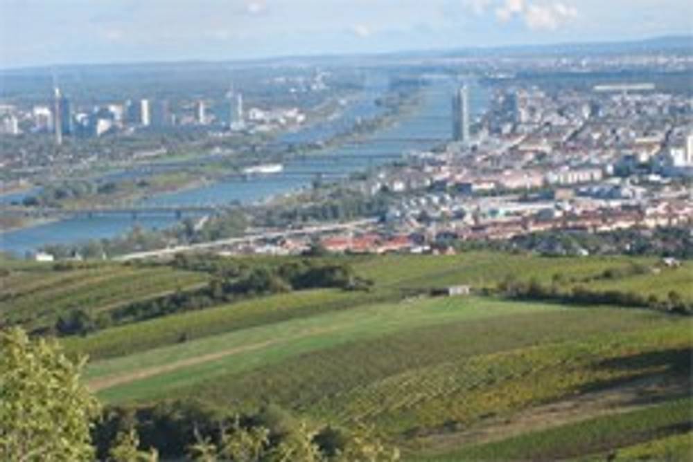 Der gemischte Satz - Wiener Wein Der gemischte Satz - Wiener Wein