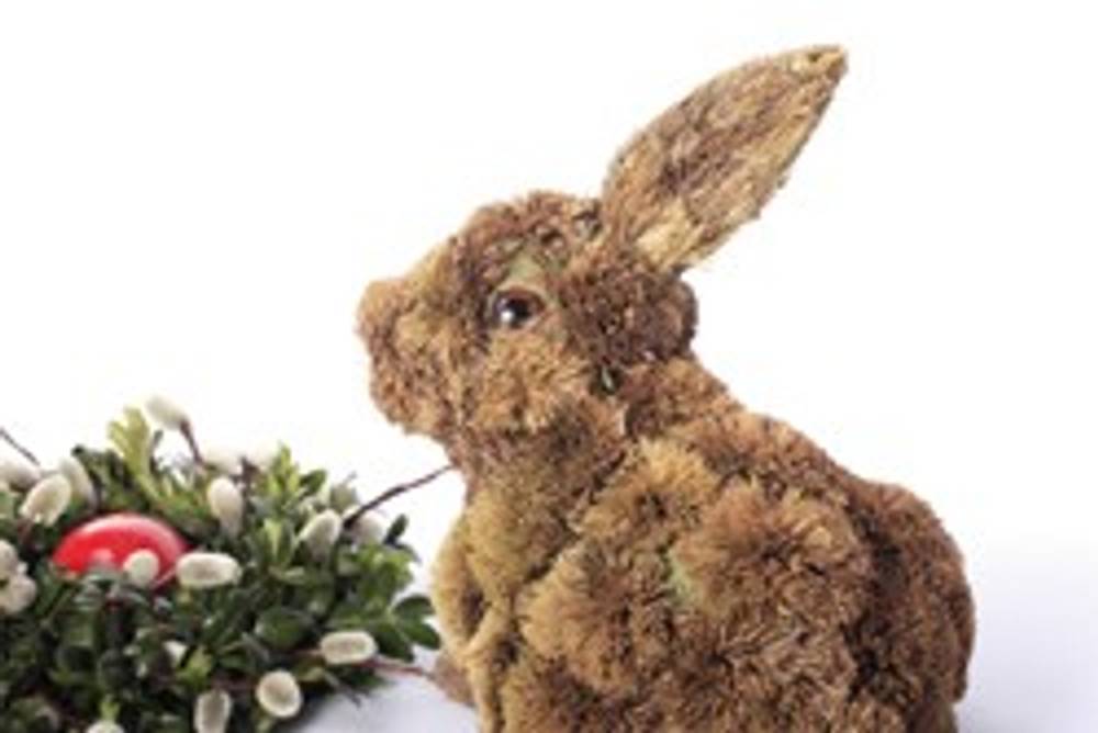 Osterhase Osterhase