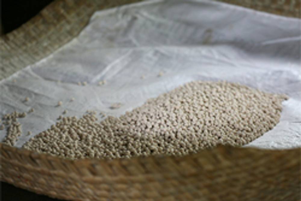 Sago (Palmenstärke) Sago (Palmenstärke)