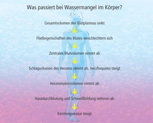 Wassermangel im Körper?