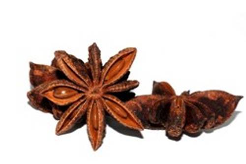 Sternanis Sternanis