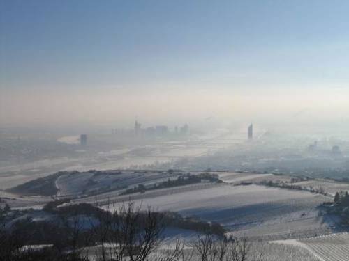 Aussicht vom Kahlenberg auf die winterlichen Weingärten