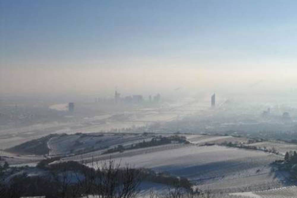 Aussicht vom Kahlenberg auf die winterlichen Weingärten