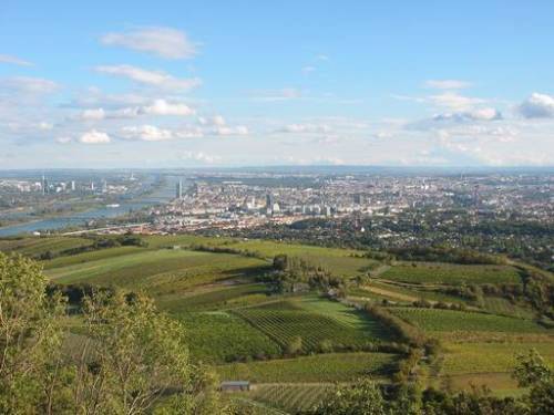 Aussicht vom Kahlenberg auf die Weingärten