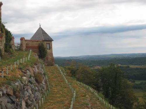 Aussicht vom Schloss Kapfenstein