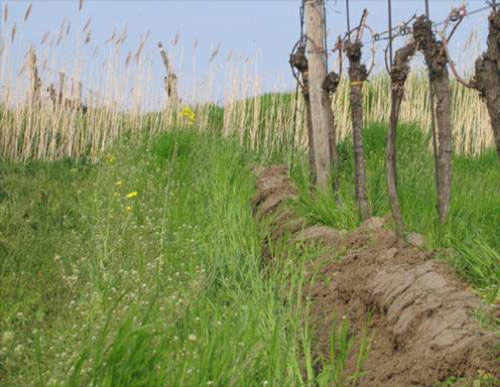 Donnerskirchen-Purbach Donnerskirchen-Purbach