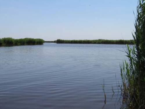 Rust - Neusiedlersee