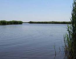 Rust - Neusiedlersee Rust - Neusiedlersee