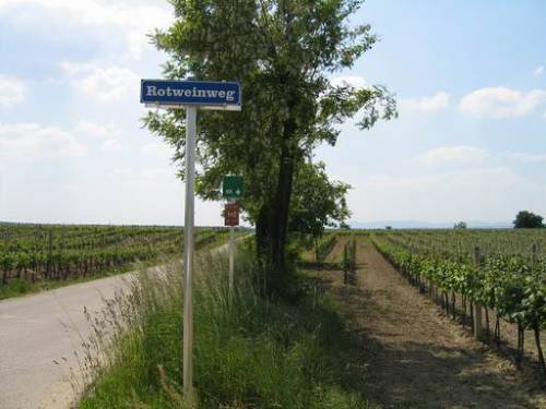 Deutschkreutz - Rotweinweg