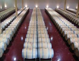 Horitschon - Arachon-Keller mit Barriquefässern Horitschon - Arachon-Keller mit Barriquefässern