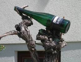 Feuersbrunn - Weingut Bauer Feuersbrunn - Weingut Bauer