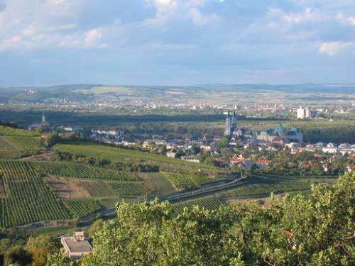 Blick vom Kahlenberg auf Klosterneuburg