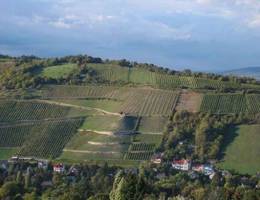 Kahlenberg - Weidling Kahlenberg - Weidling