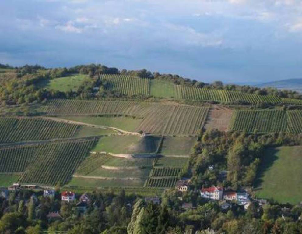 Kahlenberg - Weidling Kahlenberg - Weidling
