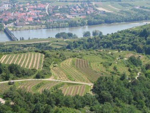 Aussicht von der Donauwarte auf Mautern