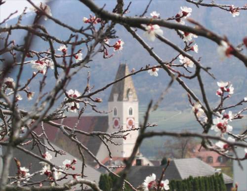 Spitz - Kirche