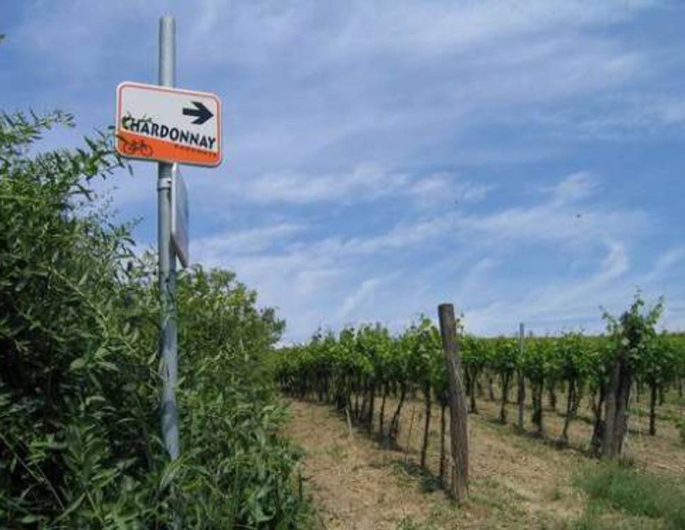 Haugsdorf - Wegweiser Haugsdorf - Wegweiser