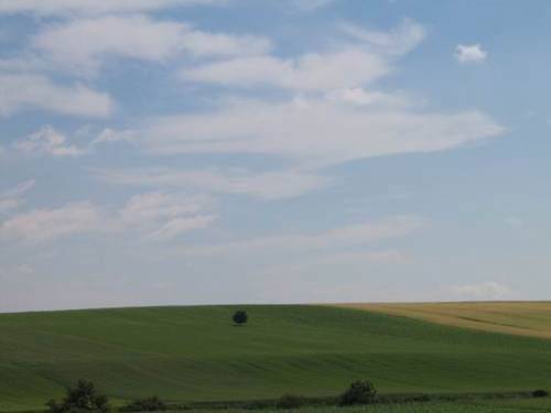 Mistelbach-Siebenhirten - Felder