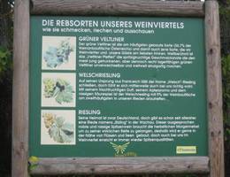 Wolkersdorf - Kellergasse/ Tafel Wolkersdorf - Kellergasse/ Tafel