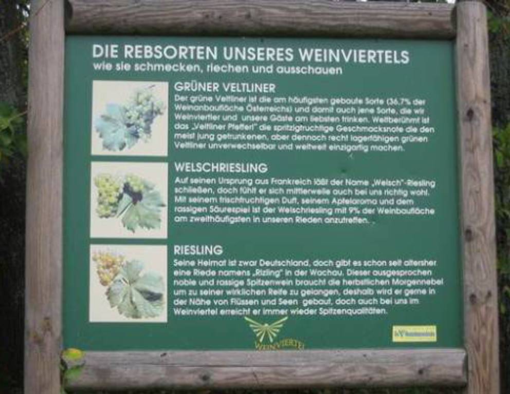 Wolkersdorf - Kellergasse/ Tafel Wolkersdorf - Kellergasse/ Tafel