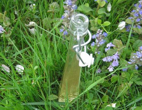 Rezept Holunderblütensaft