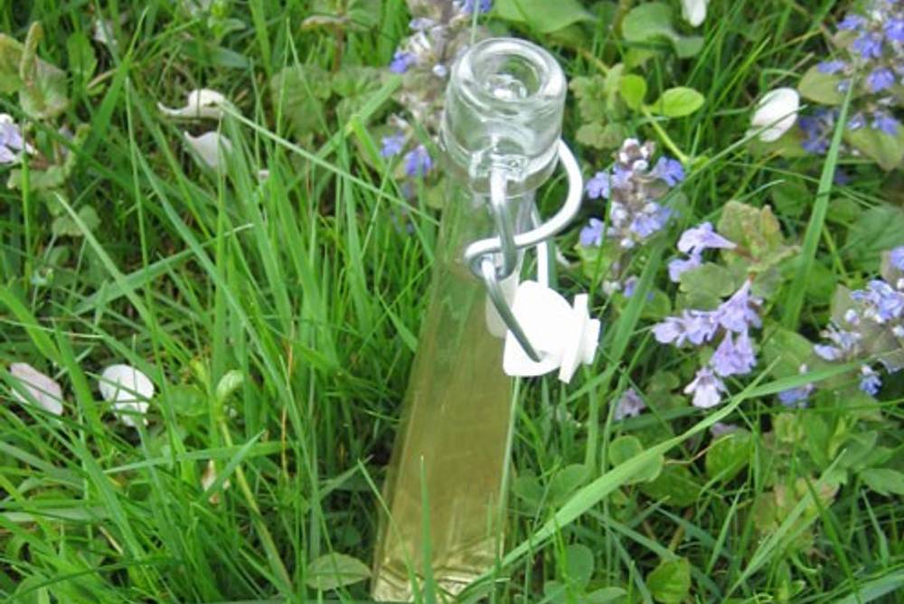 Gartenrezepte - Holunderblütensaft nach Großmutters Art Gartenrezepte - Holunderblütensaft nach Großmutters Art
