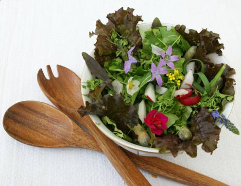 Frühlingssalat mit Haselnussmarinade Rezept - ichkoche.ch