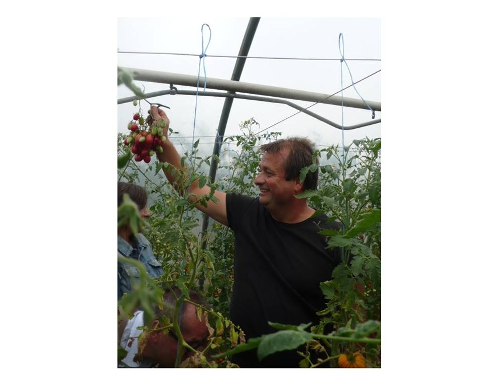 <p>Erich Stekovics pr&auml;sentiert die chinesische Tomatensorte <strong>Tschio-Tschio-San</strong>.</p>