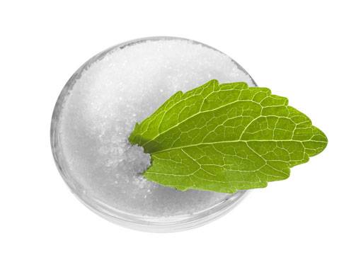 Stevia-Auszug (Süßkraut-Wasser)