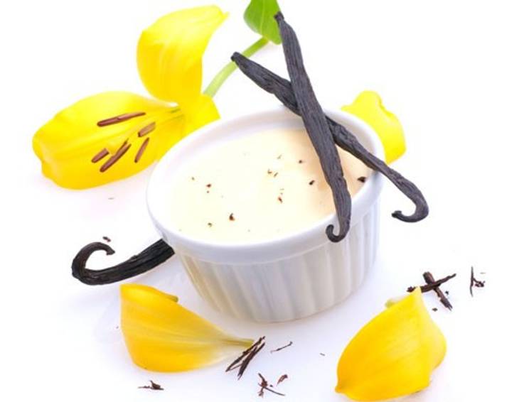 Selbstgemachtes Vanillejoghurt mit Stevia